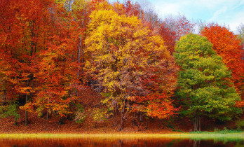 In-diesen-Farben-rockst-Du-den-Herbst-2020