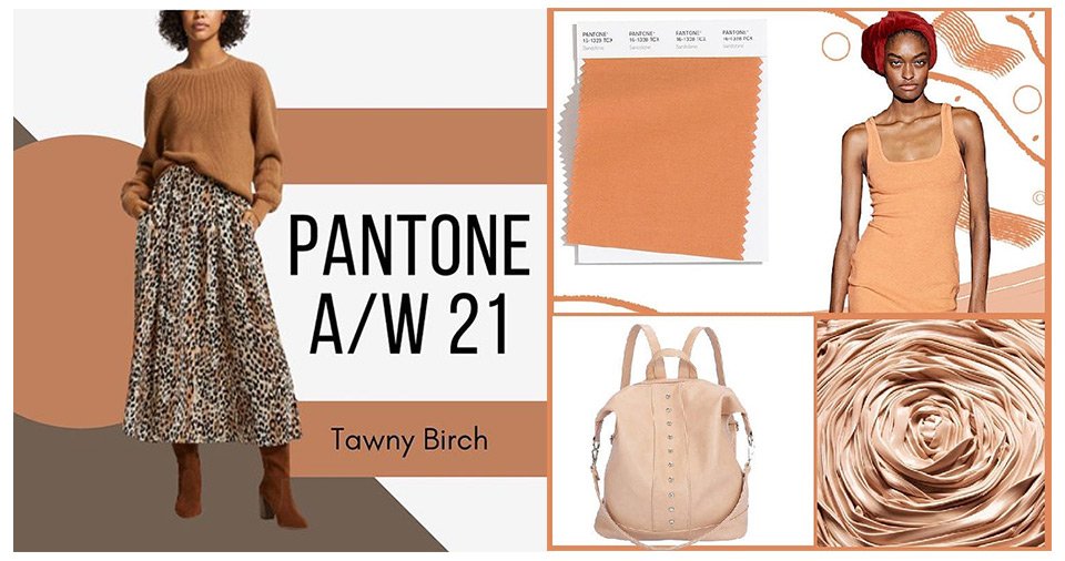 mode-farbe-trends-beige